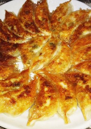 ツナの焼き餃子-レシピのメイン写真
