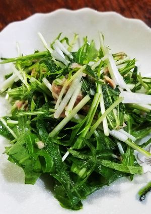 水菜と大葉のシャキシャキサラダ-レシピのメイン写真