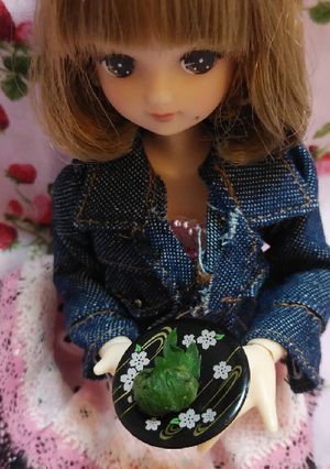 リカちゃんサイズ♡よもぎ餅ꕤ*.ﾟ-レシピのメイン写真