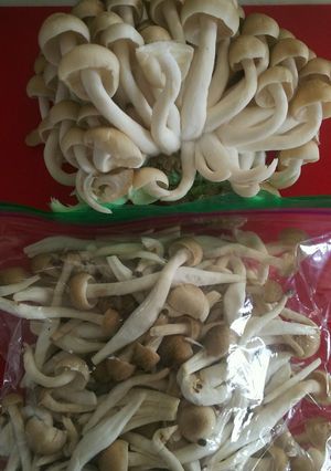 ぶなしめじ☆冷凍保存-レシピのメイン写真