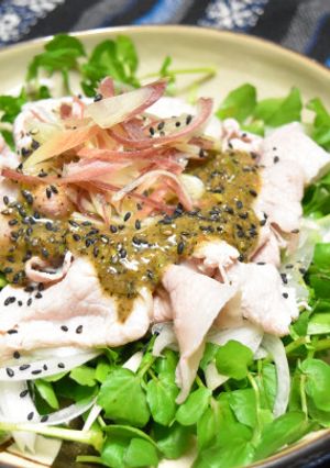 豚しゃぶとクレソンのサラダ-レシピのメイン写真