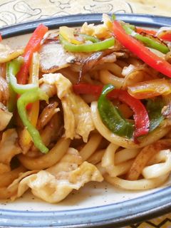 色々な焼きうどん-レシピのメイン写真