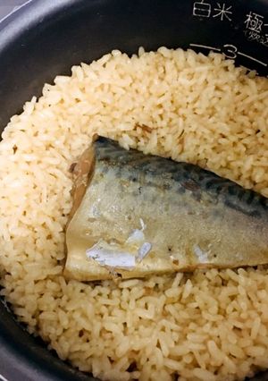 簡単、シンプルにウマい！ さばめし-レシピのメイン写真