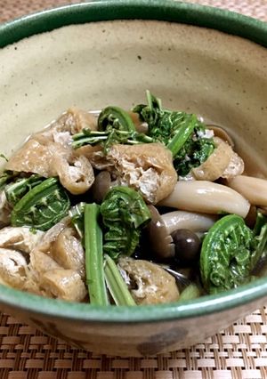 春の味覚♪こごみと揚げの煮浸し-レシピのメイン写真