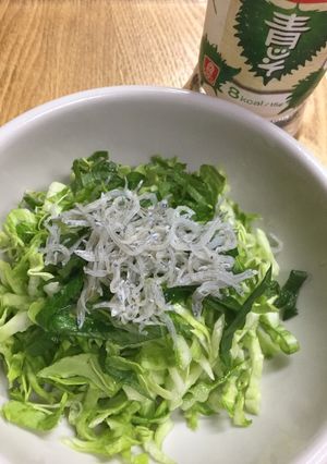 キャベツ・青しそ・じゃこのサラダ-レシピのメイン写真