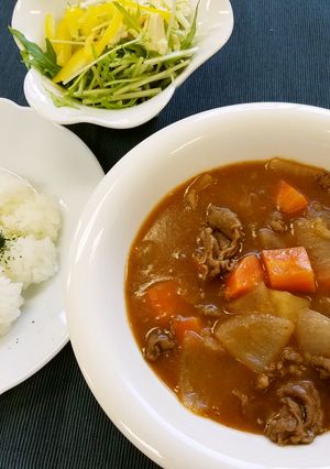 ビーフシチュー(腎臓病食)-レシピのメイン写真
