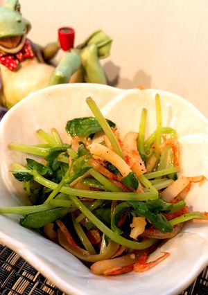 サクッともう一品 豆苗と干しエビ炒め-レシピのメイン写真