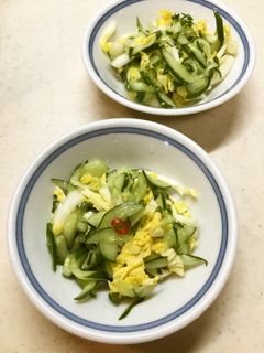 キュウリと白菜の酢の物-レシピのメイン写真