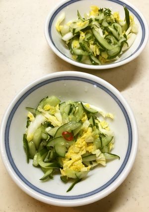 キュウリと白菜の酢の物-レシピのメイン写真