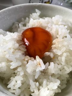 卵黄の醤油漬け-レシピのメイン写真