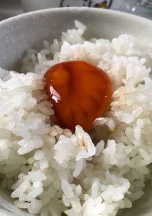 卵黄の醤油漬け-レシピのメイン写真