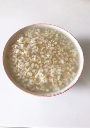 圧力鍋で簡単玄米粥-レシピのメイン写真