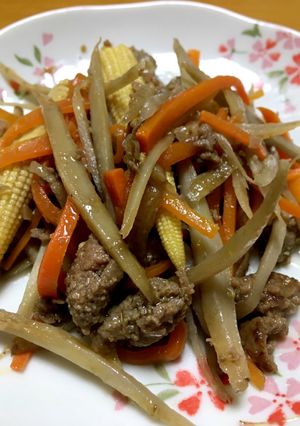 きんぴらゴボウwith挽肉-レシピのメイン写真