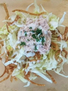 余り物活用♪ 餃子の皮のパリパリサラダ-レシピのメイン写真