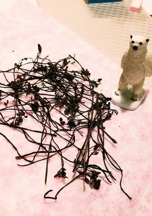 干しワラビ☆保存に-レシピのメイン写真