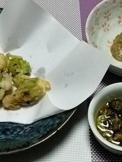 ヘルシー蕗の薹天ぷら~蕗の薹チャレンジ①-レシピのメイン写真