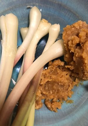 あさつき 味噌-レシピのメイン写真
