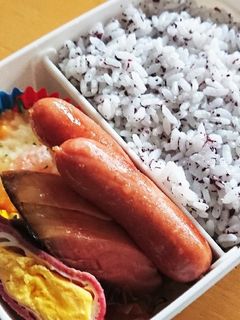 19/04/08息子弁当-レシピのメイン写真