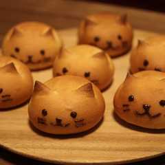 รูปของ 猫パン