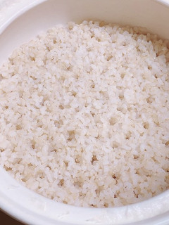 吸水不要!45分で簡単!土鍋で玄米ご飯-レシピのメイン写真