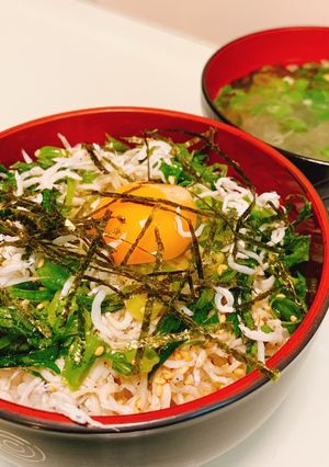 しらす丼-レシピのメイン写真