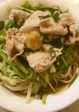 野菜たっぷり冷やし肉うどん-レシピのメイン写真