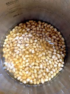 大豆の水煮(圧力鍋)-レシピのメイン写真