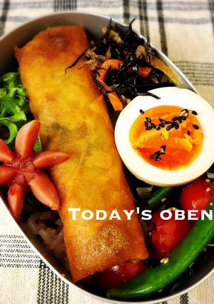 娘弁♪♪女子弁♪♪春巻き弁当♪♪-レシピのメイン写真