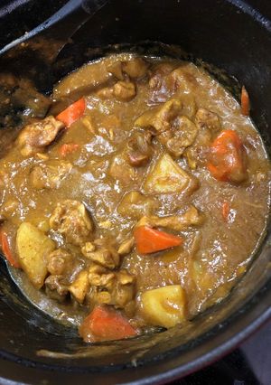目指せ香辛料カレー-レシピのメイン写真