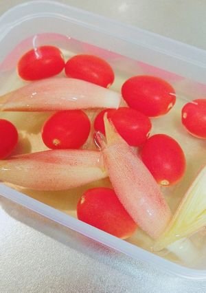 トマトとみょうがの酸っぱすぎない酢漬け☆-レシピのメイン写真