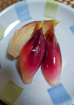 ★簡単！みょうがの甘酢漬け♪-レシピのメイン写真