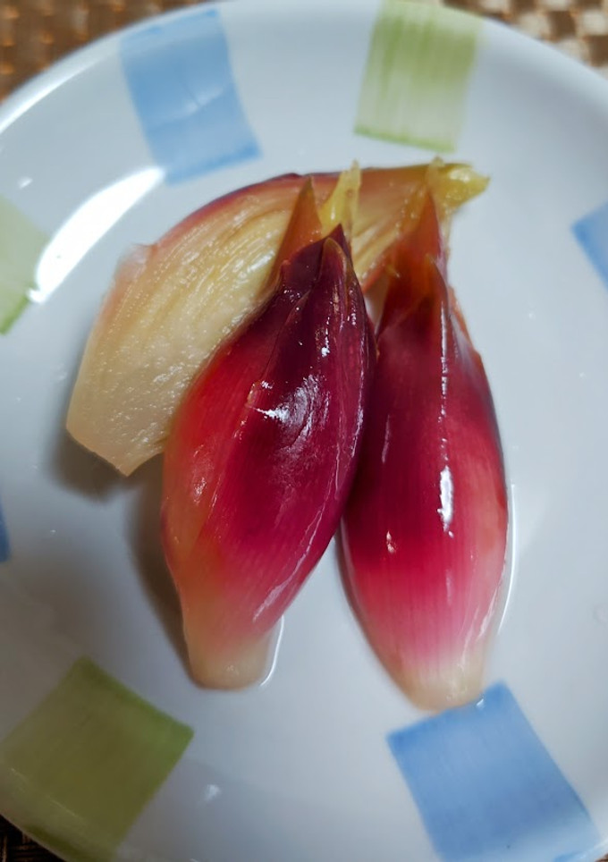 ★簡単！みょうがの甘酢漬け♪-レシピのメイン写真