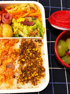 今日のお弁当1-レシピのメイン写真