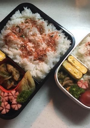 高校生お弁当（2019.4.11）-レシピのメイン写真