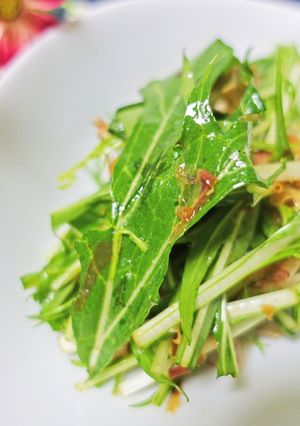 2分でできるダイエット水菜サラダ-レシピのメイン写真