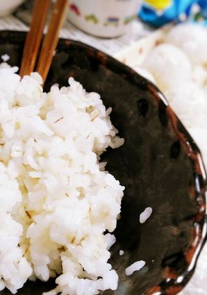 園児弁当）食べやすい白米押麦の割合と水量-レシピのメイン写真