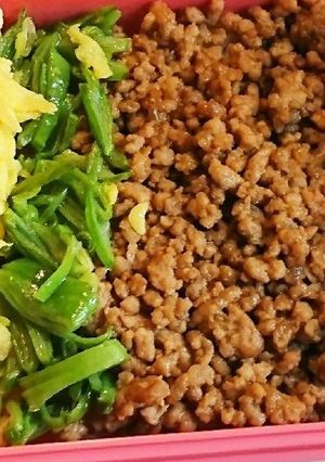 【女子中学生】三色そぼろ弁当【1】-レシピのメイン写真
