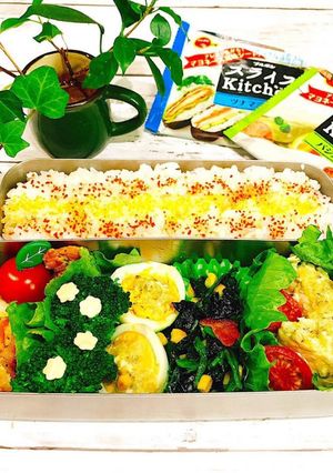 高校生男子お弁当-レシピのメイン写真