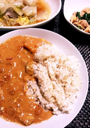 スパイスから作る★バターチキンカレー-レシピのメイン写真