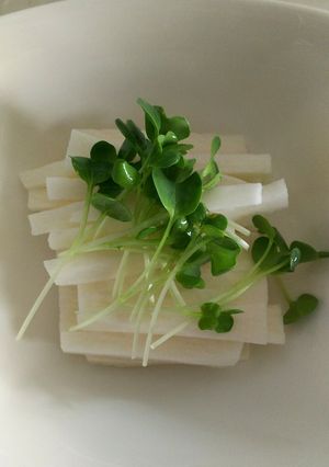 山芋 短冊 お酒のおかずに-レシピのメイン写真