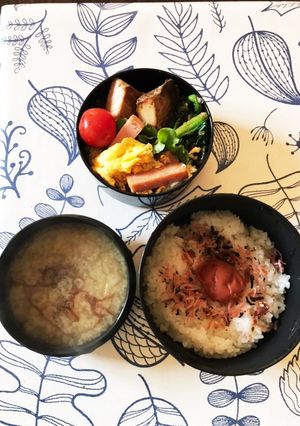 4月12日 旦那弁当-レシピのメイン写真