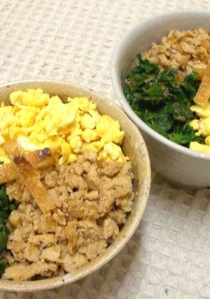 簡単（*^▽^*）ヘルシー３色そぼろご飯-レシピのメイン写真