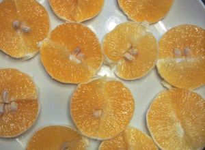 食べやすい♪みかん（柑橘類）の切り方-レシピのメイン写真