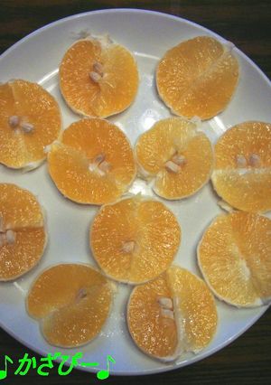 食べやすい♪みかん(柑橘類)の切り方-レシピのメイン写真