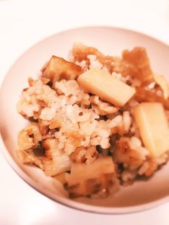 筍ご飯-レシピのメイン写真