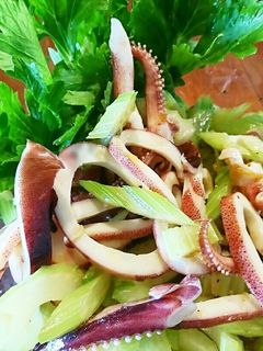 イカとセロリのマリネ-レシピのメイン写真