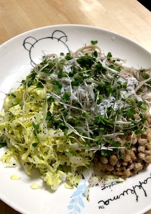 春キャベツが美味しい冷製そば-レシピのメイン写真