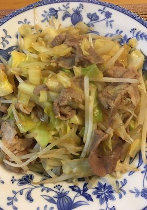 男の15分料理:肉野菜炒め-レシピのメイン写真