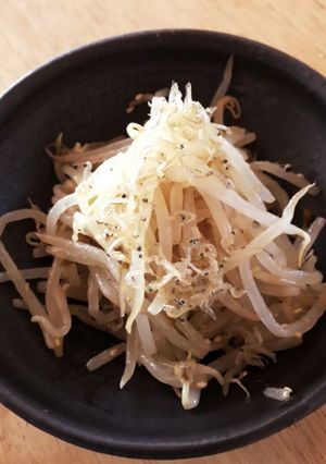 もやしの和え物-レシピのメイン写真