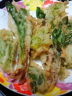 ふきのとうとアイヌ葱の天ぷら´-レシピのメイン写真